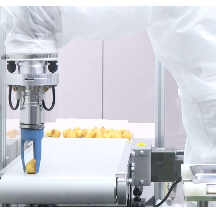 6-Axis CNC Robotic Arm with Li - Linear Rail recension och pris